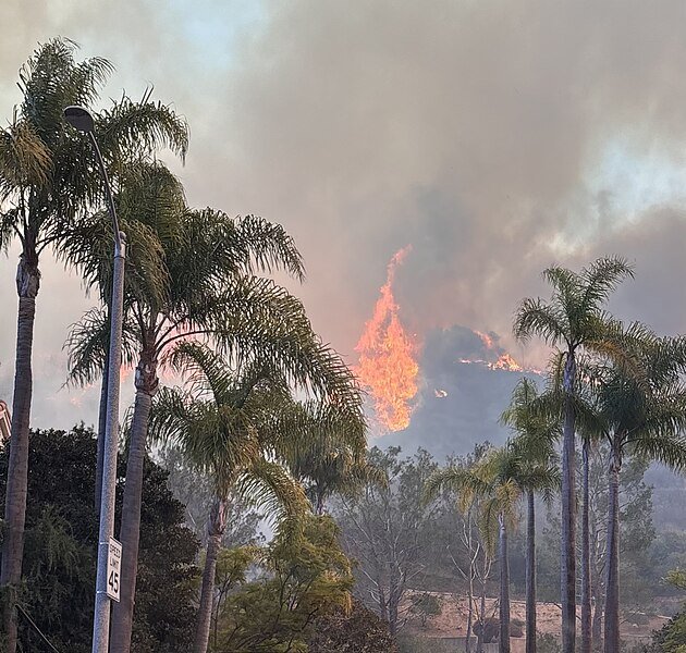 2025_Palisades_Fire_Seen_From_Palisades_Drive_(cropped)